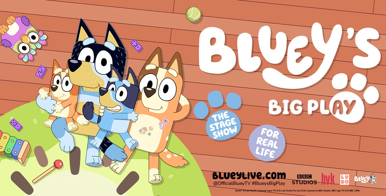 Bluey's Big Play