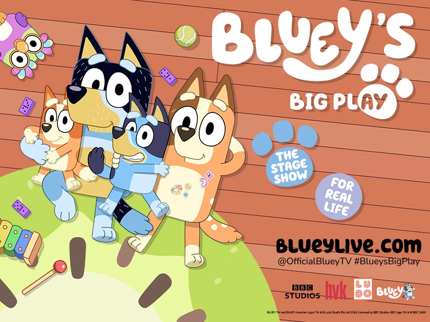 More Info for Bluey's Big Play