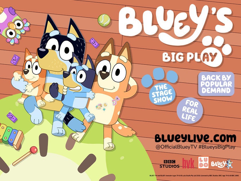 More Info for Bluey's Big Play