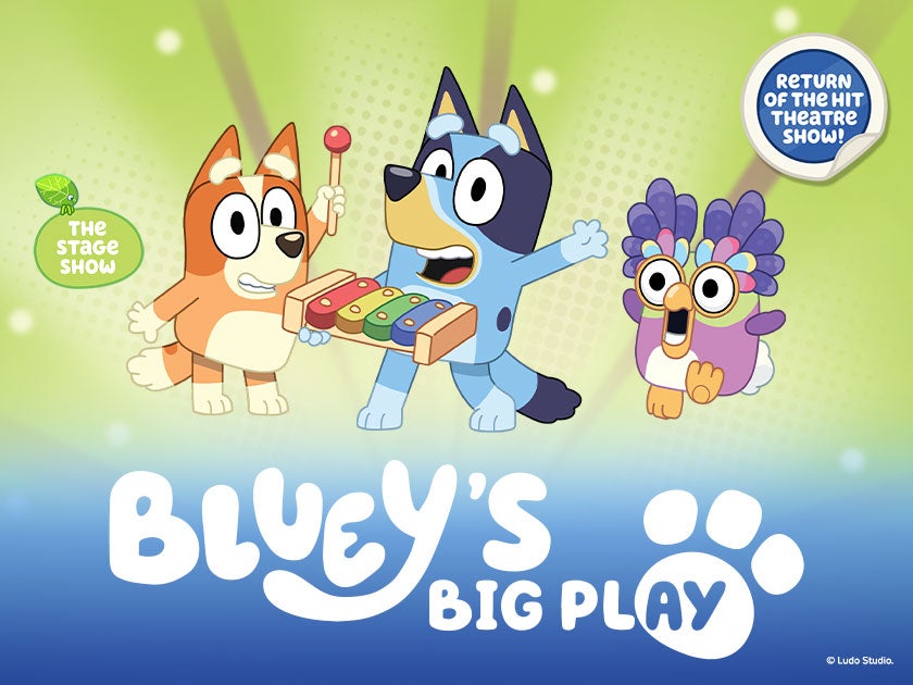 More Info for Bluey's Big Play