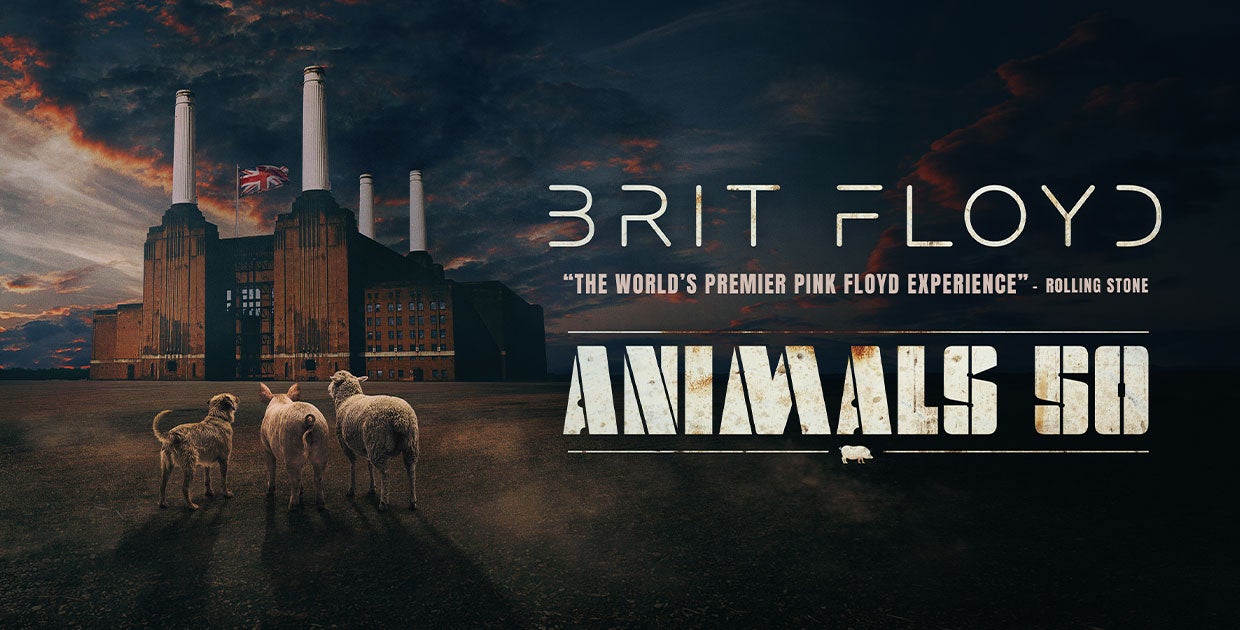 Brit Floyd: Animals 50