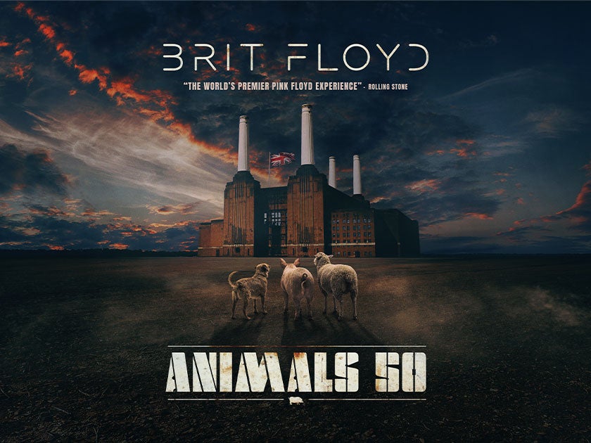 More Info for Brit Floyd: Animals 50